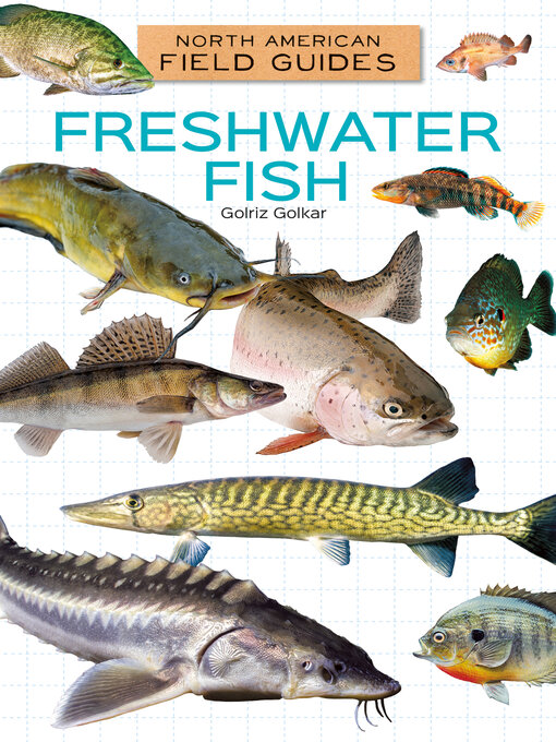 Title details for Freshwater Fish by Golriz Golkar - Available